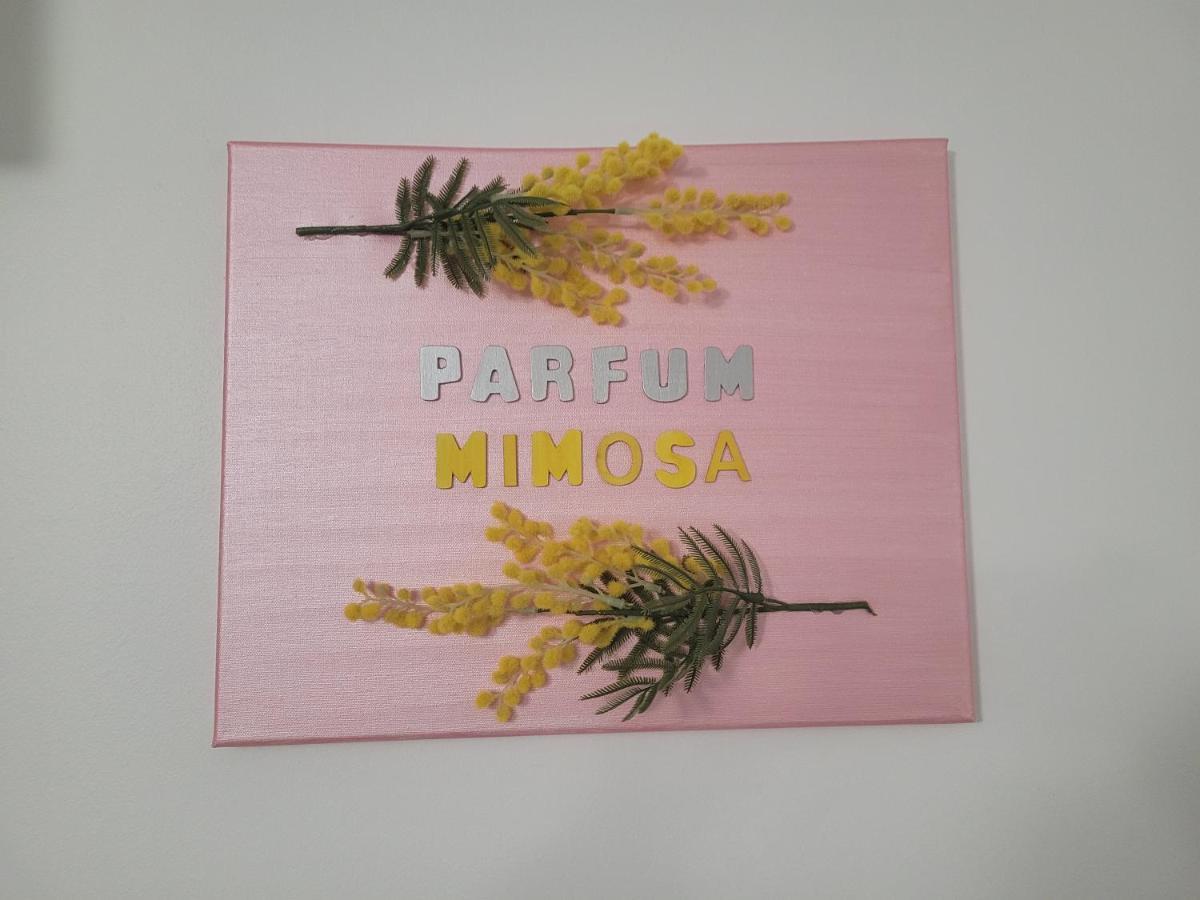 Apartamento Parfum Mimosa Grasse Exterior foto